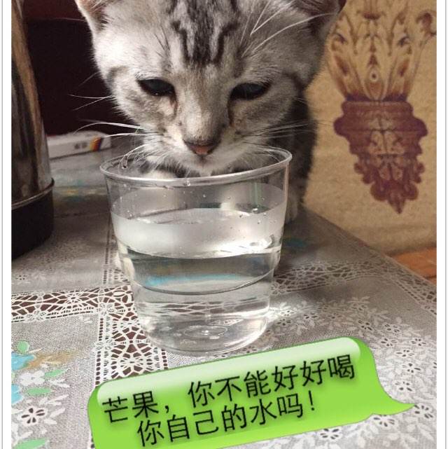 学位证在哪儿查